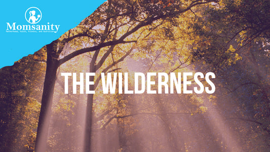 The Wilderness