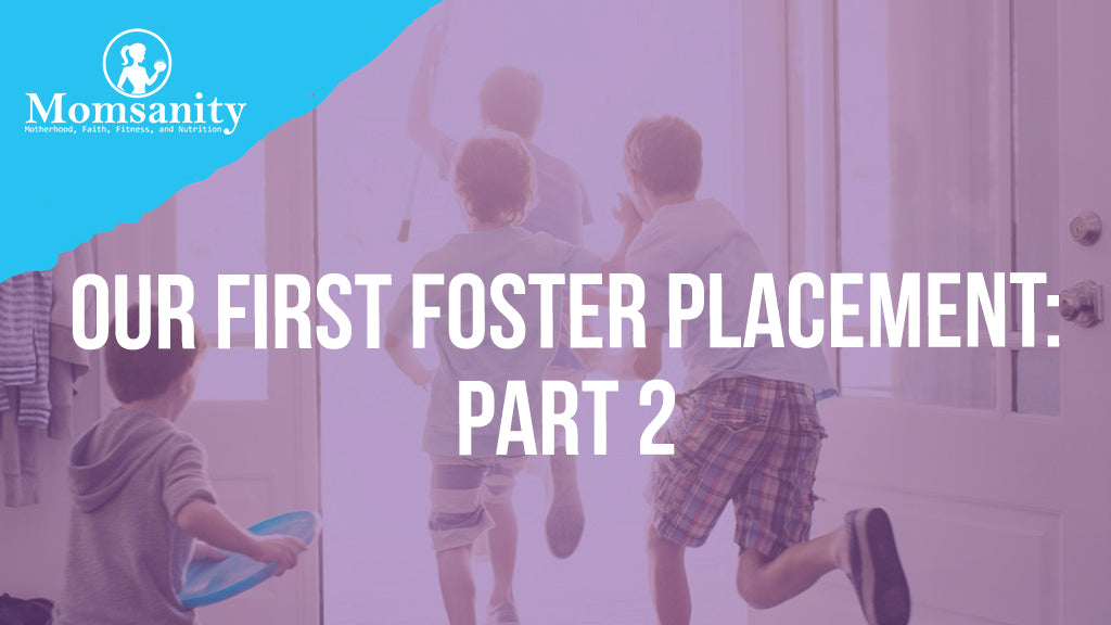 Our First Foster Placement:  Part 2